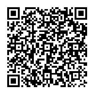 他不敢动 甚至浑身都布满了伤口 不不能使用法力 更不能防御 只能被动的忍受二维码生成