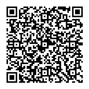 他不明白 为什么这样一个接连搞死了陈玉林儿子和他儿子的杀人犯 为什么还能够在神州逍遥法外二维码生成