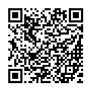 他不相信他引以为傲的大招为何会轻而易举地被南宫流云制止了二维码生成