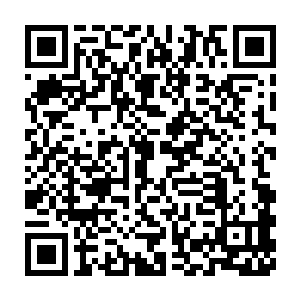 他不相信昆仑秘藏真的什么也没有……真要是什么宝物都没有的话二维码生成