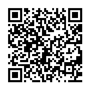 他不知道他得到炼骨族传承是不是也是一种可预见的必然发展二维码生成