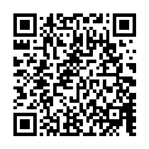 他不过就是会一点中医而已……如果他真的能对付这种病毒二维码生成