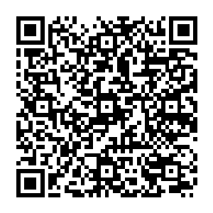 他主张的党委政府对司法工作领导就是要从大政方针和人事组织以及后勤保障来实现二维码生成