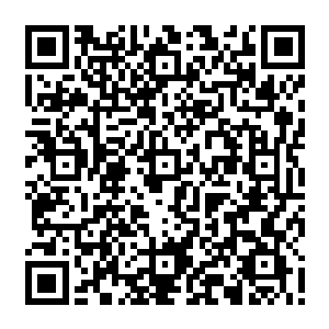 他之前的结论是坐在秦方是混沌体的基础上来说的……可现在证实了秦方并非混沌体二维码生成
