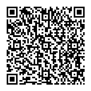 他之所以没有挂电话是因为埃文和任阳辉的表现让他知道罗伊一定是带着什么重要的东西来的二维码生成