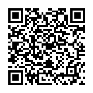 他也不希望因为这点小事儿就让马小虎和白毛之间出现矛盾二维码生成