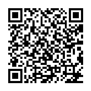 他也会暗暗羡慕于幻能不沾任何势力只凭自身能力走到这个位置二维码生成