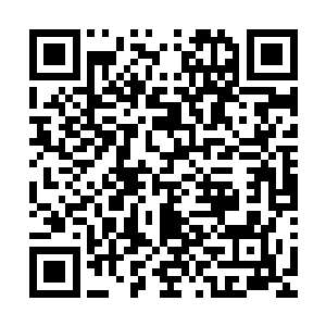 他也发现让这些实力仅有圣王境界的龟族长老去谈论圣皇强者二维码生成