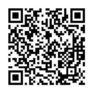 他也只是从战斗的把握和局势掌控上觉得两人不相符而已二维码生成