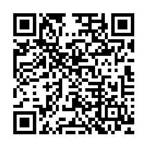 他也差不多猜出了那个什么猿猴学长为什么会对自己有敌意了二维码生成