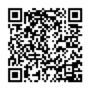 他也懒得问黑杰克为什么要杀这些无辜的精灵这种愚蠢的问题二维码生成