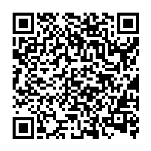 他也是被眼前这样血腥的一幕给震惊了的……如果不是隐约可以分辨出那些手掌二维码生成