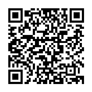 他也曾经考虑过一个问题――滚滚的存在或者说小玄界的变化二维码生成