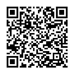 他也未来得及融合这个身体的记忆和系统给出的信息二维码生成