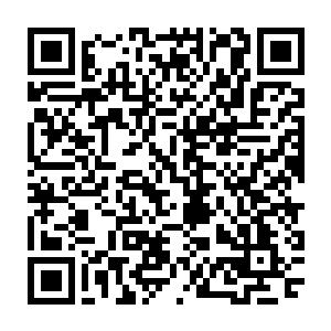 他也没有看的太清楚不过现在感受到轮回塔表面散发的那恐怖的能量bo动之后二维码生成