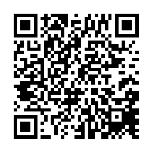 他也知道你最近事务繁忙――但是不管是爷爷还是我二维码生成