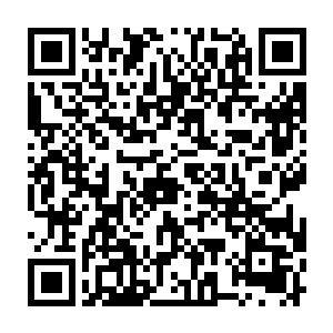 他也算是耗费了不少的时间来寻找木之始龙的血脉到底在什么地方二维码生成