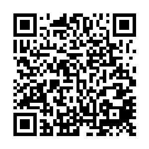 他也认为赵灵图师兄弟几人敢横行西星海也肯定是有点手段二维码生成