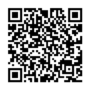 他今天来这里的目的便是将整个戚家从这个世界上彻底的除掉二维码生成