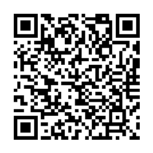 他从来没有和三派的人或者无极宗以外的人讨论过怎么防守二维码生成