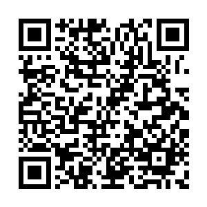 他代替墨彧王主处理墨族大小事宜已经很多年了二维码生成