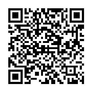 他代表那位医生总统向高扬和夜魔小队表示祝贺和感谢二维码生成