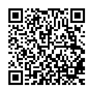 他以为系统会将他送到一个像熊孩子所经历过的那种修行世界中二维码生成