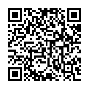 他以往总是用谦逊温和的外表将自己的野心小心翼翼的包裹起来二维码生成