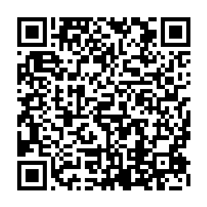 他们一动也不动地任由叶馨的鲜血缓缓地流到他们的脚下打湿他们的鞋底二维码生成