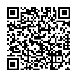 他们一直以为叛臣势力的界主级修士已经被轰杀得差不多了二维码生成