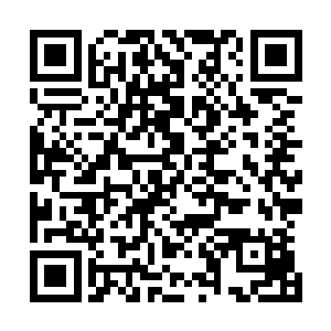 他们不仅一次隐晦提到过天南域年轻一代中的第一人游北天二维码生成