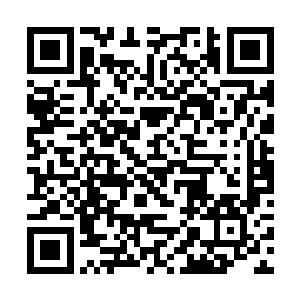 他们不仅紧握住人类共同宣言上的漏洞进行强势反驳二维码生成