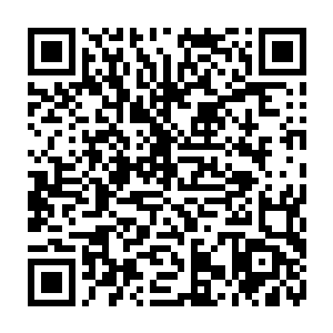 他们不仅见到了赫赫凶名的黑手党老大在他们面前全然一副花花公子的逗比模样二维码生成