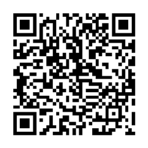 他们不会聘请一个品位如此拙劣的模特去展示他们的服装二维码生成