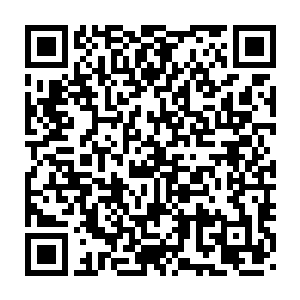 他们不会选择在我新书发表的时候也推出名人名作来和我打擂台吧二维码生成