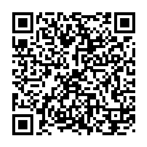 他们不但没法得到自己的猎物还会成为身处在黑暗中的野兽的食物二维码生成