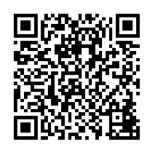 他们不愿意为了自己的第二生命而把自己的第一生命给丢了二维码生成