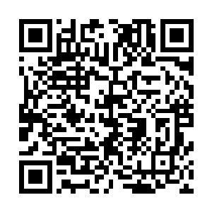 他们不明白为什么教官和暴力姐都会认为夏天的实力强悍呢二维码生成
