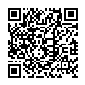 他们不明白那个叫大河的男人怎么能带领他们在密林中行走二维码生成