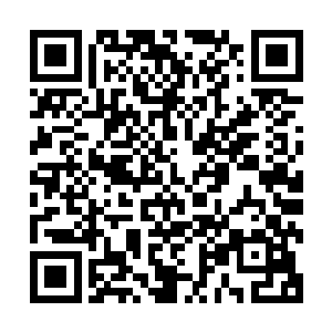 他们不清楚林放的手里是不是也同样有着他们违法乱纪的证据二维码生成