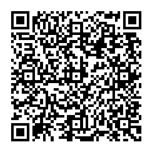 他们不知道发生了什么　但就算是傻子也知道肯定有着什么非同寻常的奇遇　否则的话　也不会造成如此大的动静二维码生成