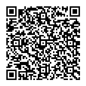 他们不知道等大脚仙和无名剑仙发现原来李青鸿的师叔其实是一位毛头小年轻又会是一副什么表情二维码生成