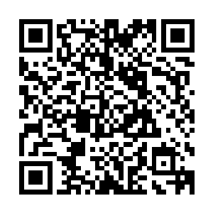 他们不确定打下大齐的战船和商船后他们能否分到足够的利益二维码生成