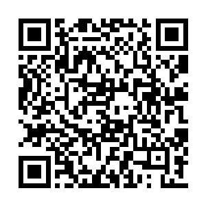 他们不给力的表现已经触怒到了他们的团长凌蘭二维码生成
