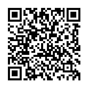 他们两个用炮灰攻击的方法寻找石像傀儡的破绽也不能够说错二维码生成