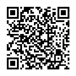 他们两人倒是完全将苏凡这个主观因素给忽略了过去二维码生成