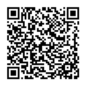 他们两位便是林世南和影这夫妻俩的……相比其他试炼者为了生存而保护自己二维码生成
