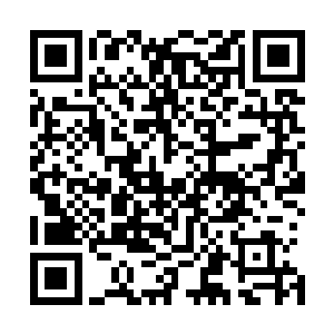 他们中的绝大部分人都不过是修真界中碌碌无为的平庸之辈二维码生成