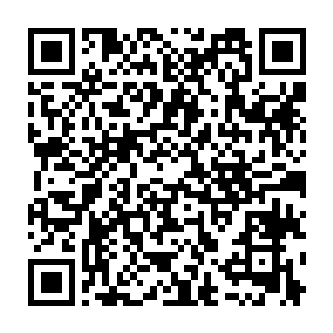 他们之中也唯有秦方才可以勉强抵挡片刻……此刻秦方的双臂都麻木了二维码生成