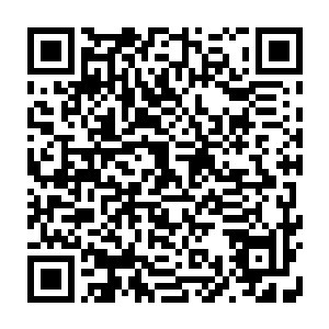 他们也一直为我们蓝岛未曾举办过这种国内最著名的电影界盛会感到无比遗憾二维码生成